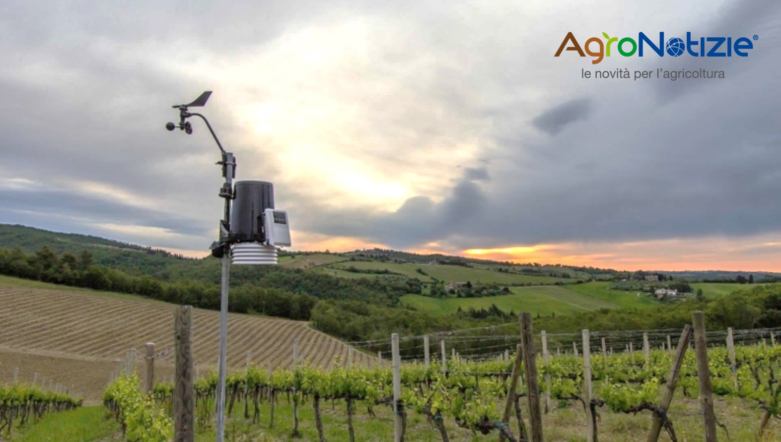 Franciacorta Dop La Viticoltura Digitale Alla Base Di Una Agricoltura