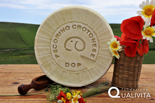 Pecorino Crotonese DOP foto-1