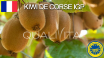 Kiwi de Corse IGP – Francia