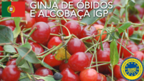 Ginja de Óbidos e Alcobaça IGP - Portogallo