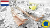 Hollandse maatjesharing STG – Paesi Bassi