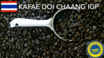 Kafae Doi Chaang IGP - Thailandia