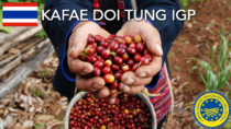 Kafae Doi Tung IGP - Thailandia