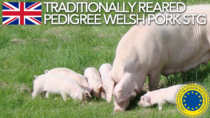 Traditionally Reared Pedigree Welsh Pork STG - Regno Unito