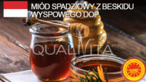 Miód spadziowy z Beskidu Wyspowego DOP - Polonia