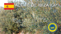 Aceite de Ibiza IGP - Spagna