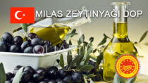 Milas Zeytinyağı DOP - Turchia