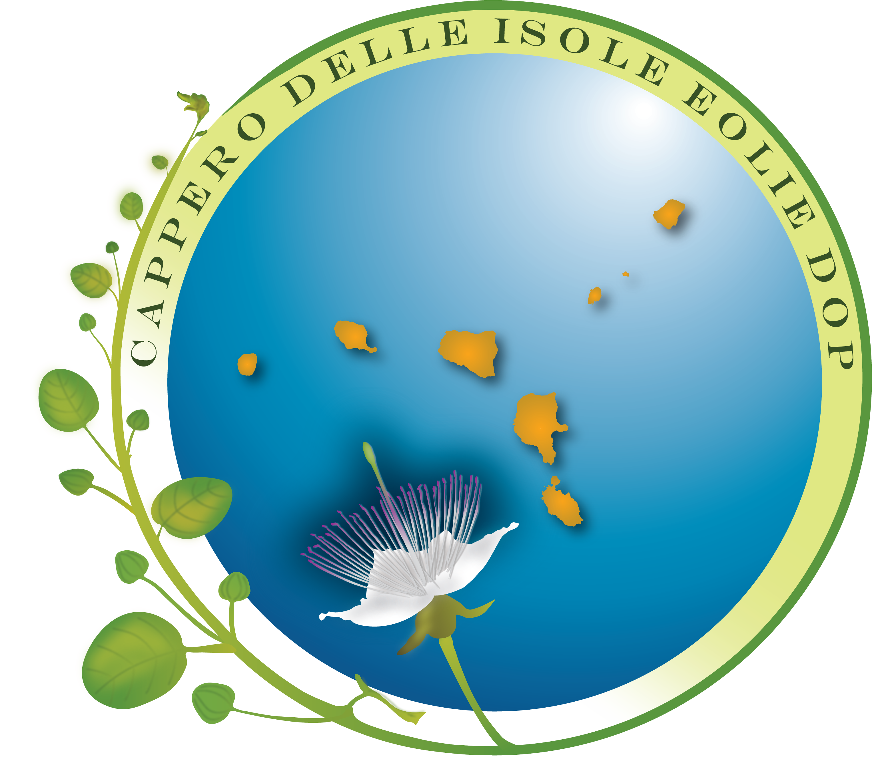 Associazione Cappero delle Isole Eolie DOP