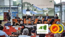 Un primato frutto di unità e sinergia: Il Consorzio Vini del Trentino presenta il Bilancio di sostenibilità