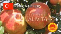 Suruç Narı DOP - Turchia