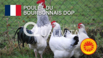 Poulet du Bourbonnais DOP - Francia