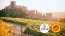 Appuntamento Soave DOP, l