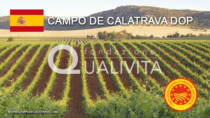 Campo de Calatrava DOP - Spagna