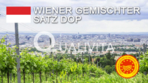 Wiener Gemischter Satz DOP - Austria