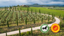 Turismo DOP: al via Tuscany Trail 2024 con il Consorzio Vini della Maremma Toscana