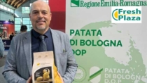 Patata di Bologna DOP: "perso un quarto degli ettari certificati di patata"