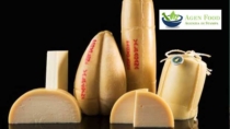 Provolone Valpadana DOP: successo nell’export verso l’Australia