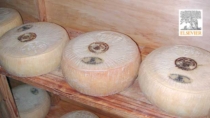 Sistemi agroalimentari localizzati: il caso del Pecorino Siciliano DOP