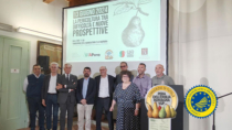 Consorzio della Pera dell’Emilia Romagna IGP, spunti per il rilancio della pericoltura