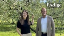 Olio, Garda DOP: Bonafini e Padovani entrano nel Consiglio direttivo di Origin Italia