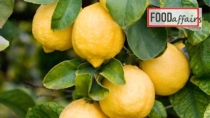 “LemON – Limone di Siracusa IGP”, la campagna di comunicazione in Est Europa