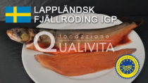 Lappländsk Fjällröding IGP - Svezia