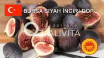 Bursa Siyah İnciri DOP - Turchia