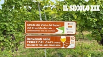 La Strada dei vini del Gran Monferrato si spinge oltre la provincia: "Pronti altri 150 cartelli"