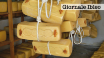 Il Consorzio per la Tutela del Formaggio Ragusano DOP prova a rilanciare la produzione