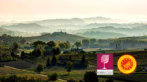 Il Consorzio Barbera d’Asti e Vini del Monferrato alla Milano Wine Week con "Born Sustainable"