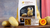 Patata Bologna DOP: campagna commercializzazione +14%, produzione +53%