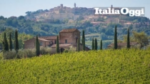 Il Vino Nobile di Montepulciano DOP lancia un nuovo vino