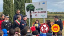 Il Consorzio del Vino Nobile di Montepulciano per la giornata dell’albero