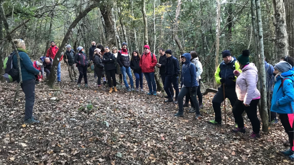 2024 - Sovicille, Festa della Cinta Senese DOP