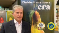 Pera dell’Emilia Romagna IGP: nuovo presidente alla guida del Consorzio