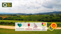 I Consorzi del vino dell