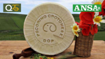 Pecorino Crotonese DOP, dalla filiera 1,7 milioni euro valore al consumo