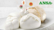 Consorzio Tutela della Mozzarella di Bufala Campana DOP, crescono i controlli online