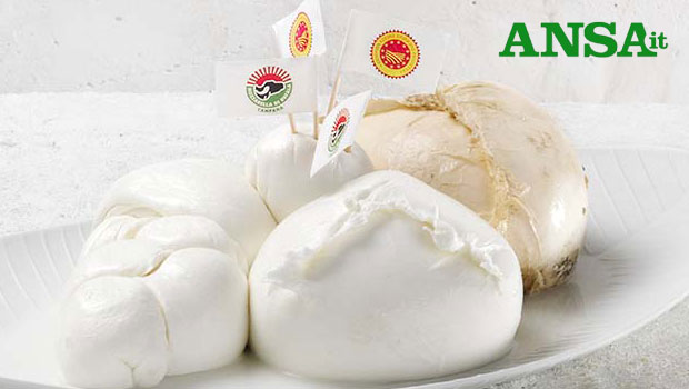 mozzarella di bufala